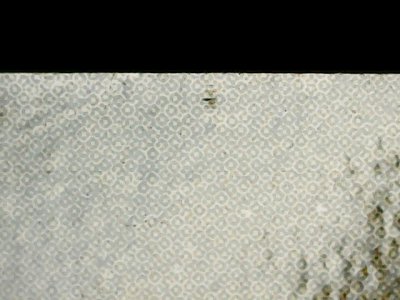 SN36687