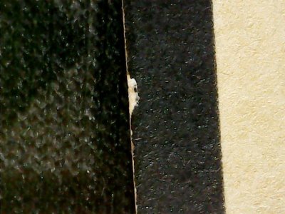 SN36730