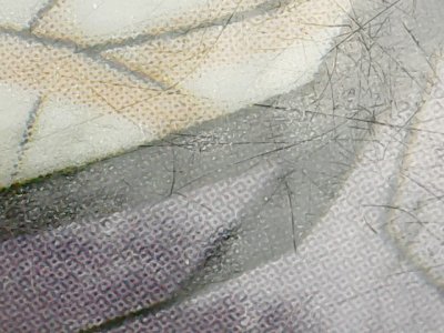 SN36731