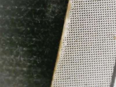 SN36790