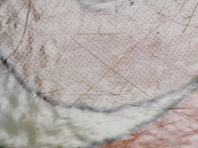 SN36791