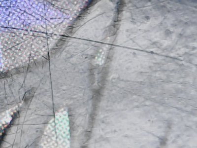 SN36794