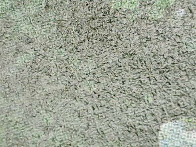SN36747