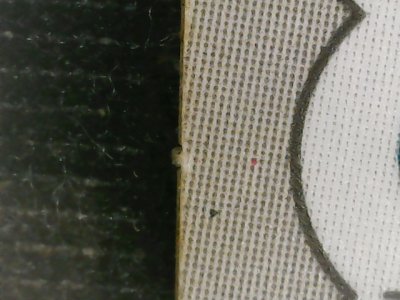 SN36795