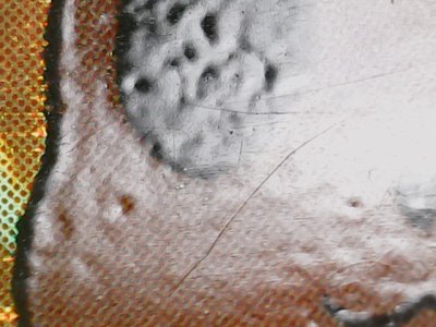 SN36801