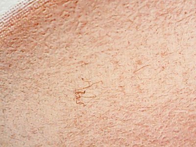 SN36769