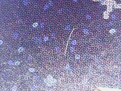 SN36770