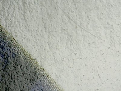 SN36771