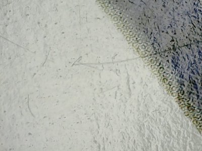 SN36771