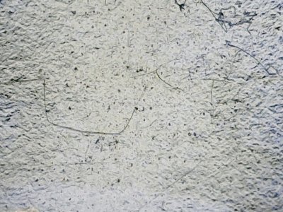 SN36771