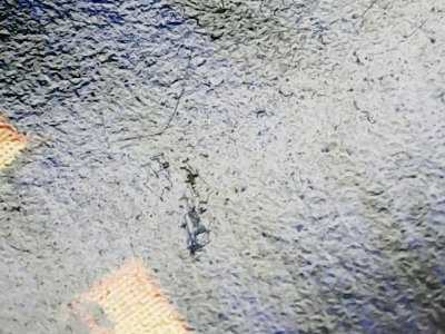 SN36771