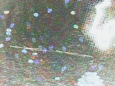 SN36773