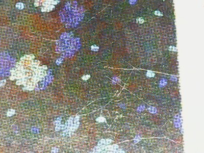 SN36773