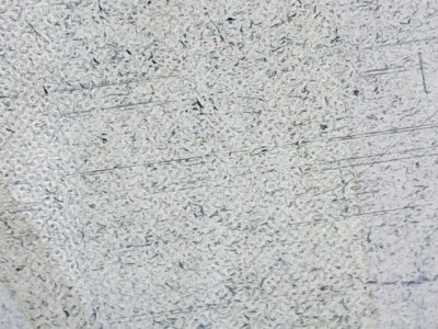 SN36773