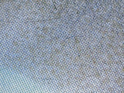 SN36774