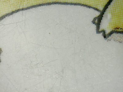 SN36775