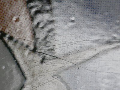 SN36802