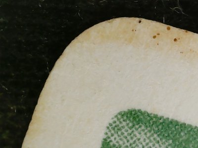 SN36804