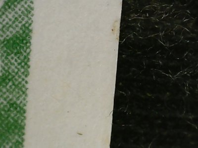 SN36804