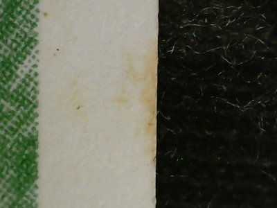 SN36804