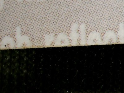 SN36776