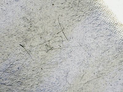 SN36780