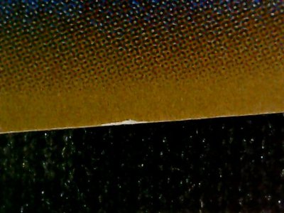 SN36781