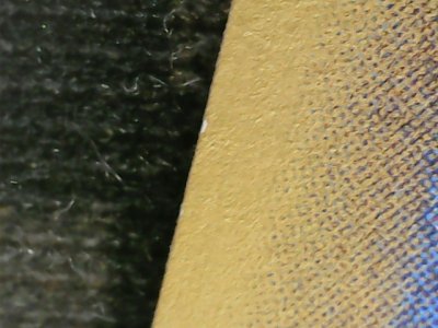 SN36810