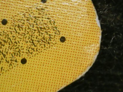 SN36811