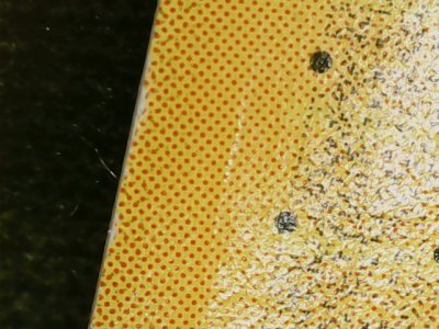 SN36811