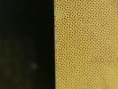 SN36813