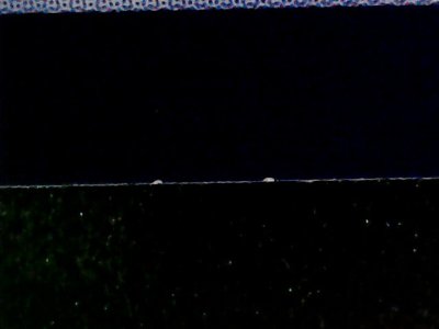 SN36783
