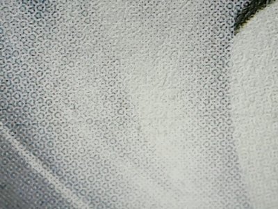 SN36784