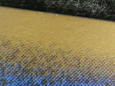 SN36821