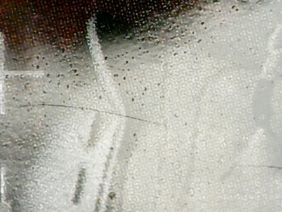 SN36919