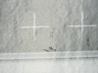 SN36919