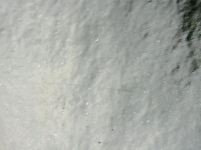 SN36919
