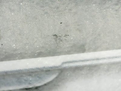 SN36919