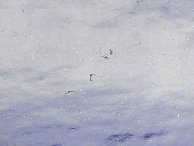 SN36926