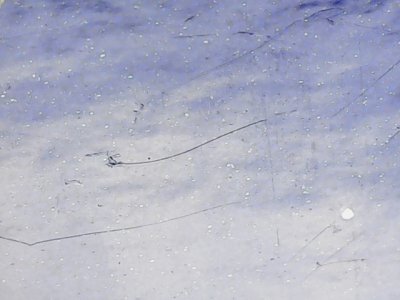 SN36926