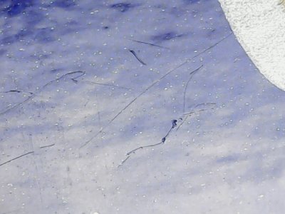 SN36926