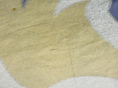 SN36926