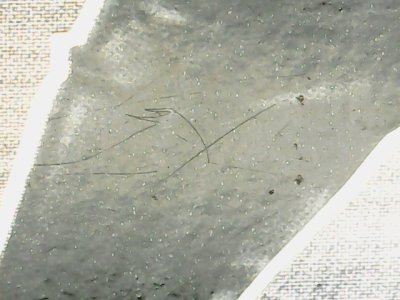 SN36960
