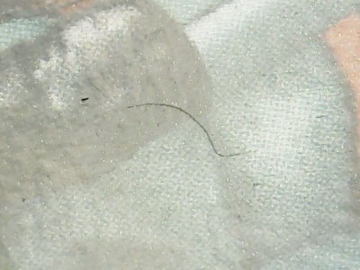 SN36960