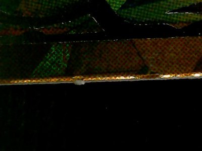 SN36961