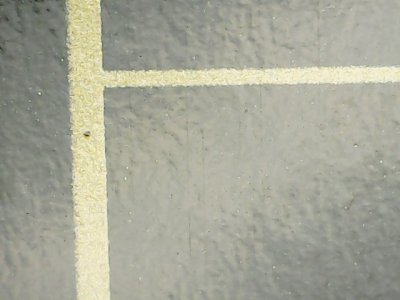 SN36961