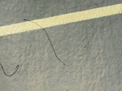 SN36963