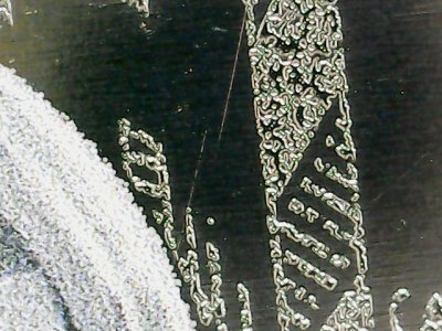 SN36964