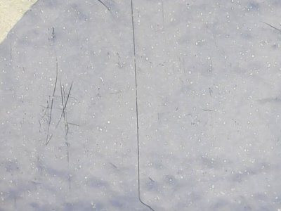 SN36970