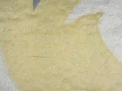 SN36970